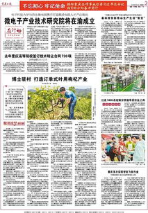 重慶高等院校技術(shù)轉(zhuǎn)讓成果豐碩，去年簽訂合同730項(xiàng)推動(dòng)創(chuàng)新發(fā)展